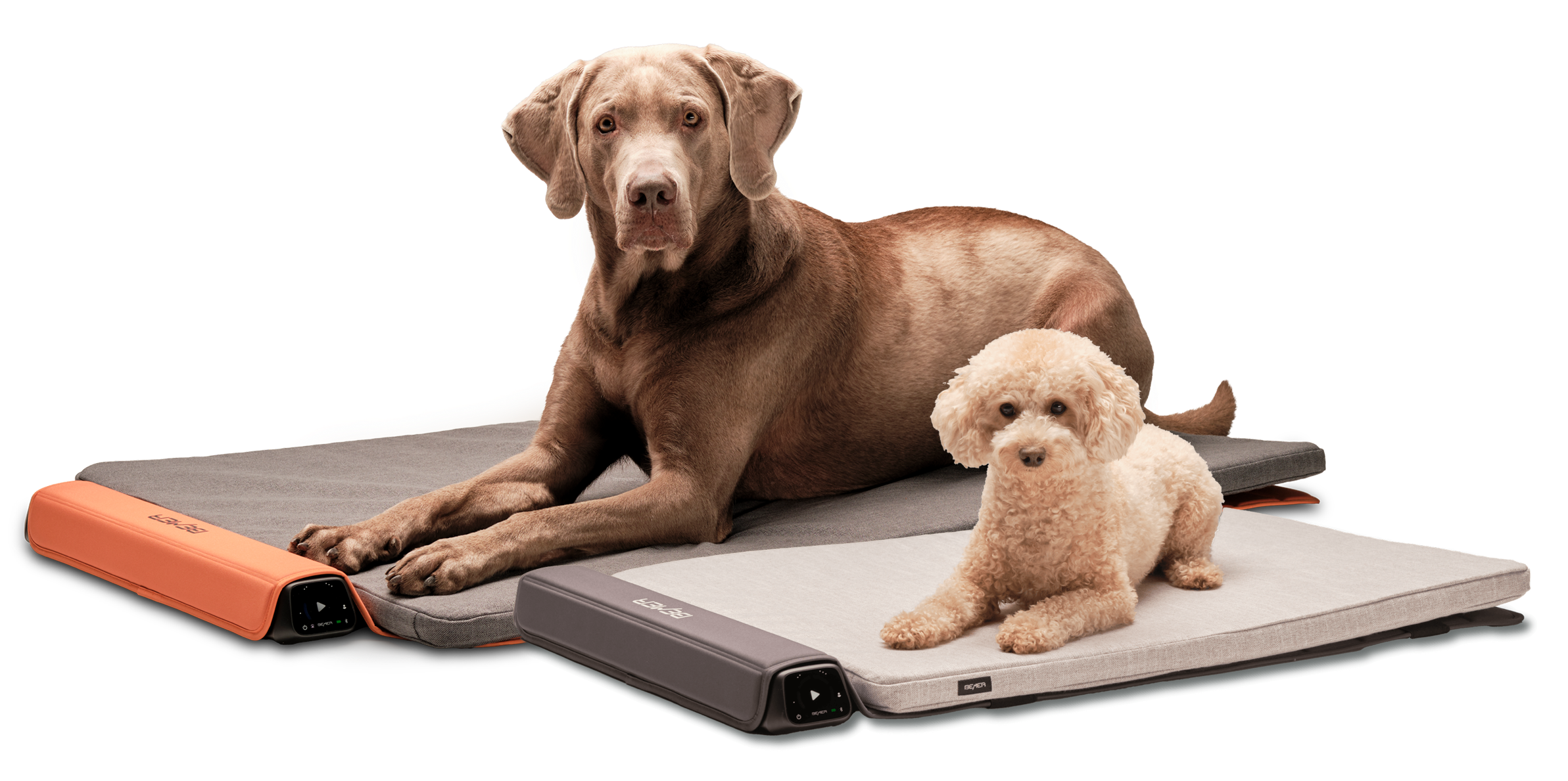 BEMER Dog System kutyáknak